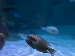 -沈阳海洋探索中心