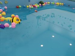 -马博士婴儿游泳馆(望京旗舰店)