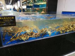 水产区-神洲四海大酒楼(王府井澳门中心店)