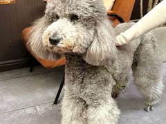 -沏点Trattoria意大利餐厅(新街口店)