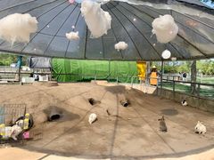 -前小桔亲子创意农场·草莓采摘·露营烧烤