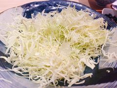 -堂本家·二代目·炸猪排(Express东海店)