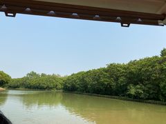 -大湾区中央湿地公园