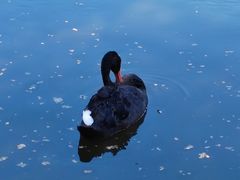 -沈阳森林动物园