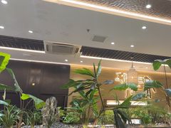 -寻牛记潮汕牛肉火锅(双喜城店)