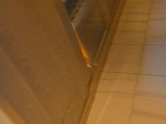 -额尔敦牛厨师铜板烧