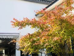 -龙吟九品(青龙山庄店)