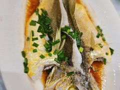 清蒸本地大黄鱼-舌尖上·霞浦滩涂海鲜(总店)