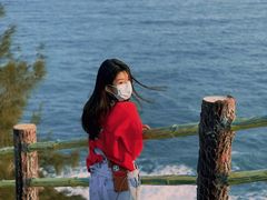 -广东惠东海龟国家级自然保护区