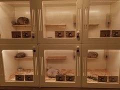 -龙猫仔乐园(惠福东路店)