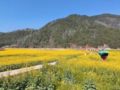 -新安江山水画廊风景区