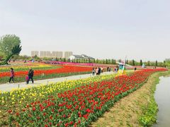 -兰陵国家农业公园