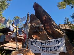 -奥兰多迪士尼动物王国乐园