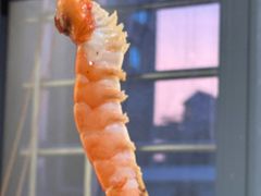-厝味火锅·潮汕卤水火锅(十一合店)