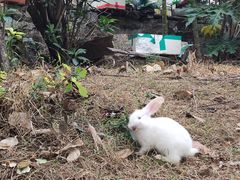 -草庵摩尼教遗址公园