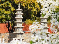 -普照寺