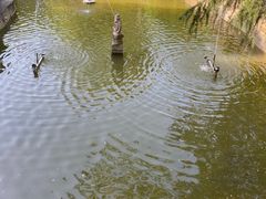 -上海虹桥迎宾馆
