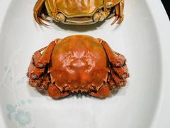 -宝燕壹号景观餐厅(龙盛国际商业广场店)