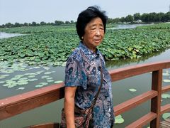 -白洋淀景区