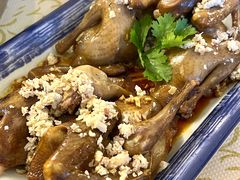 -百利鸽王(紫薇路店)