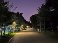 -长白岛森林公园