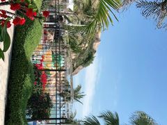 -那琴半岛地质海洋公园
