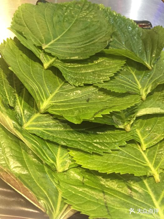 猿生态炭火烤肉苏子叶图片 - 第8张