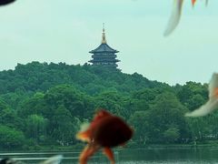 -杭州湖滨in77