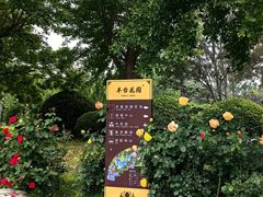 -丰台花园