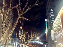 -乐天免税店(明洞店)