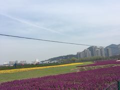 -上虞天玥大酒店