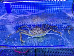 -前王院•巧克力海鲜市集餐厅(万平口店)