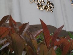 -杜哈夫DOUX RÊVE·生日蛋糕(日月光店)