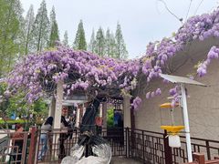 -郑和公园