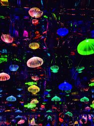 -疯狂冒险家-亲子密室-东坝店(金隅嘉品店)