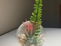 -码头见·潮汕菜(领展中心城店)