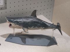 -辽宁古生物博物馆