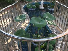 -金雁飞鸣双语幼儿园