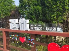 -燕儿岛山公园