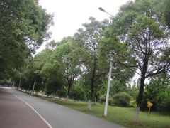 -瑶湖郊野森林公园