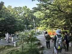 -杭州少年儿童公园