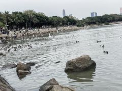 -深圳湾公园(南山区)