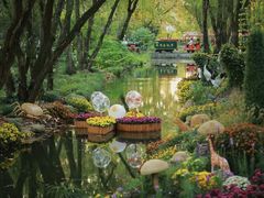 -上海共青森林公园