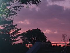 -牛岗山公园