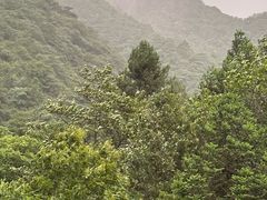 -东天目山风景区