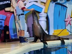 -三亚海昌梦幻海洋不夜城