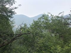 -北京上方山国家森林公园