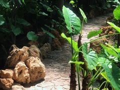 -南通洲际绿博园