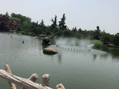 -太阳部落