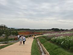 -酒仙湖景区